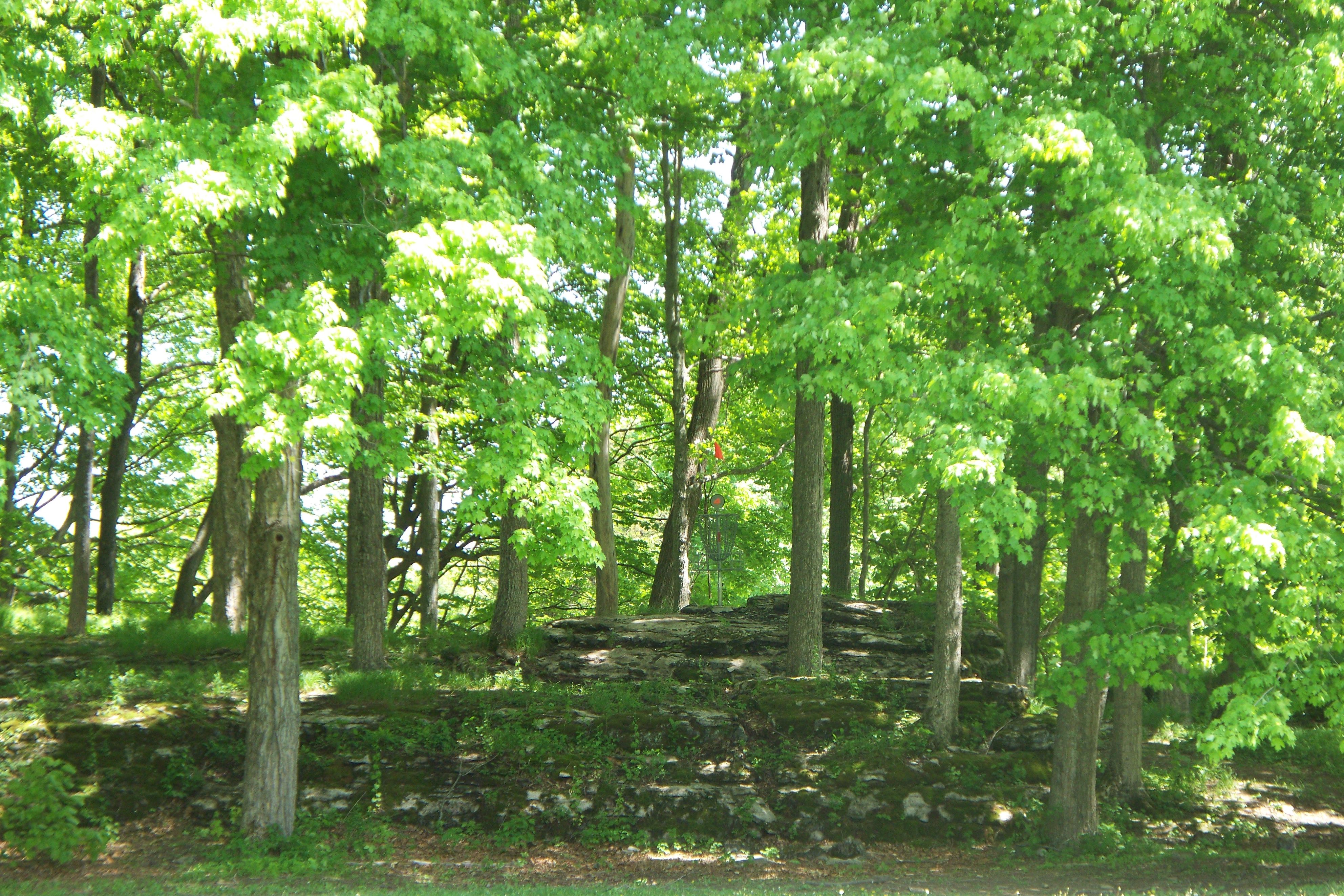 Joralemon Park Disc Golf Course South Professional Disc Golf